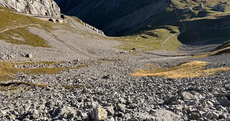 Guided Summit Hike with Cog Railway & Gondola