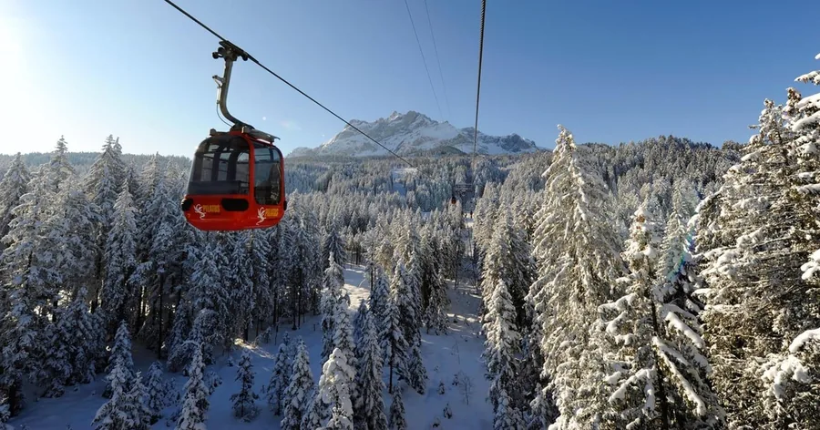 A red gondola cabin above snow-covered spruce forest